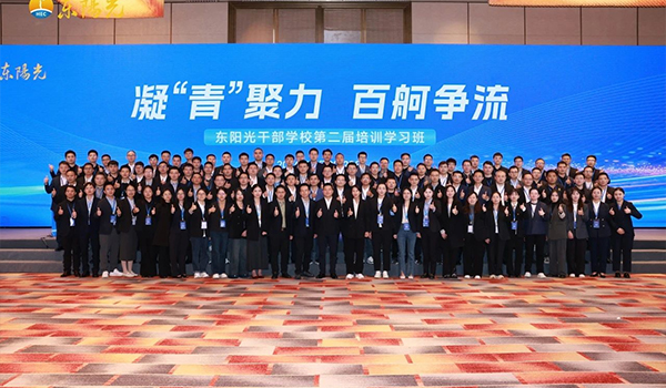 凝“青”聚力，百舸争流 | 九游官网干部学校2024年第二届培训学习班圆满结束